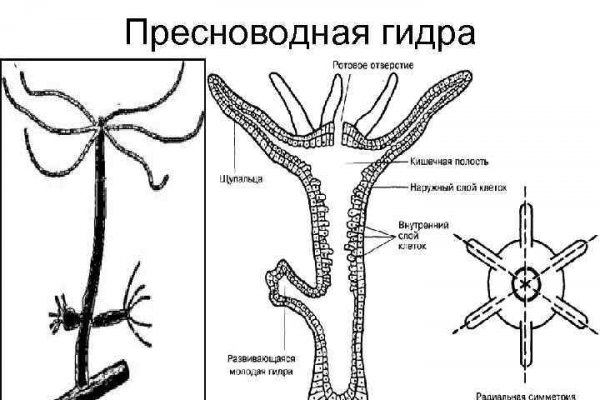 Омг силка